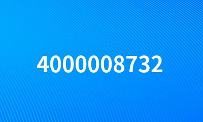 4000008732