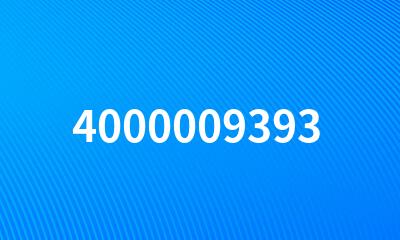 4000009393