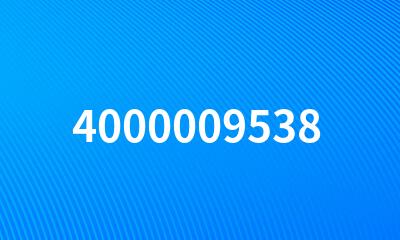 4000009538