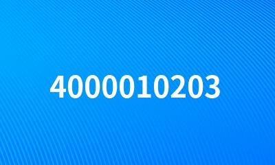 4000010203