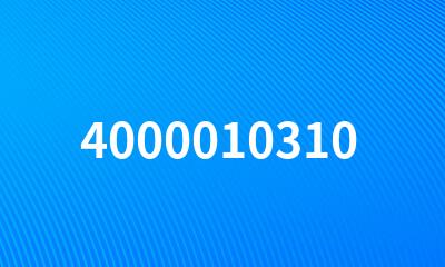 4000010310