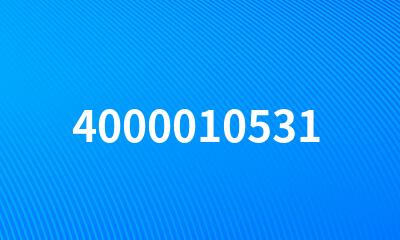 4000010531