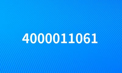 4000011061