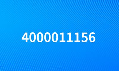 4000011156