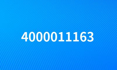 4000011163