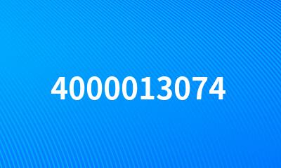 4000013074