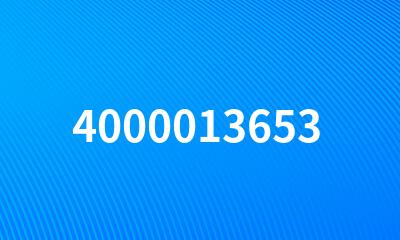 4000013653