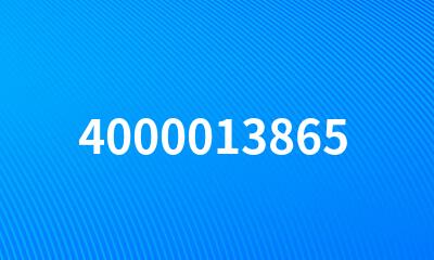 4000013865