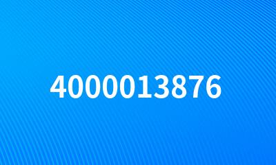 4000013876