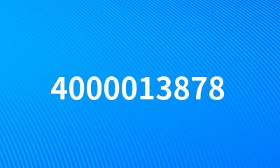 4000013878