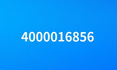 4000016856