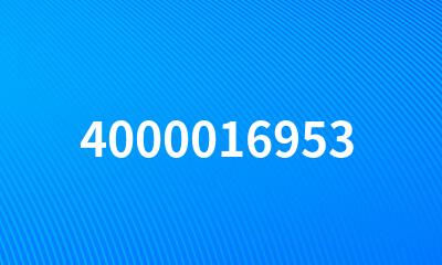 4000016953