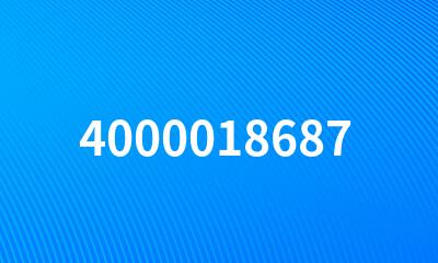 4000018687