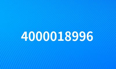 4000018996