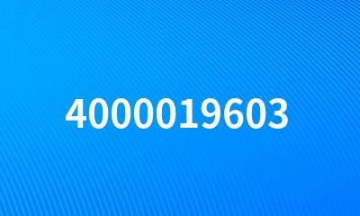 4000019603