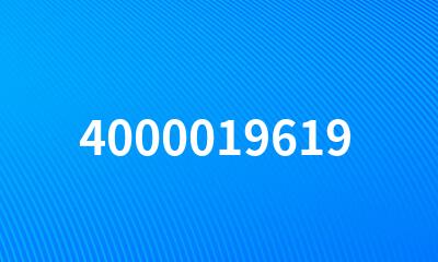 4000019619