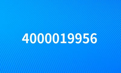 4000019956