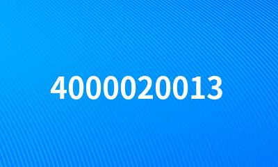 4000020013