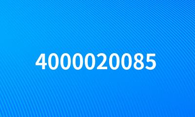 4000020085