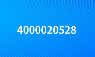 4000020528