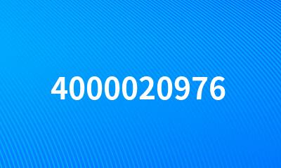 4000020976