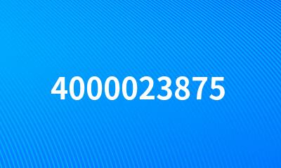 4000023875