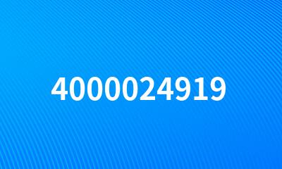 4000024919