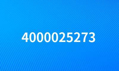 4000025273