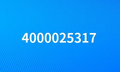 4000025317