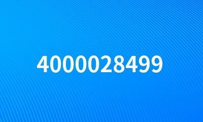 4000028499