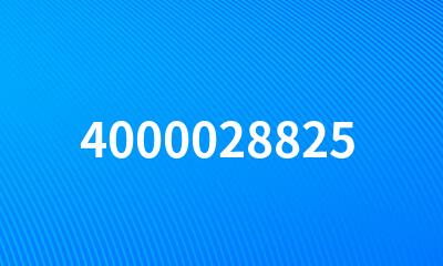 4000028825