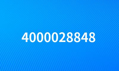 4000028848