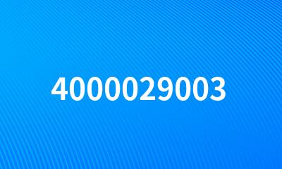 4000029003