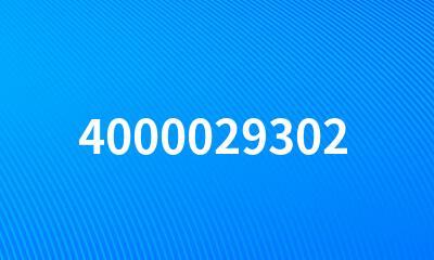 4000029302