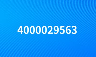 4000029563