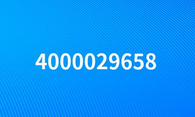 4000029658