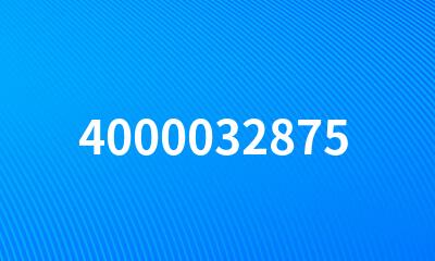 4000032875