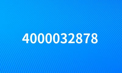 4000032878