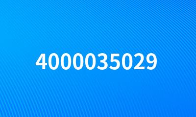 4000035029