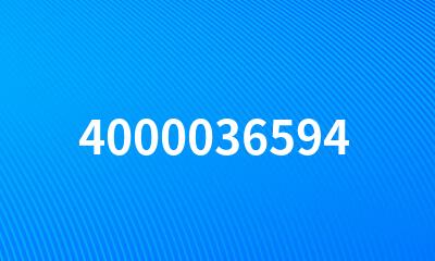 4000036594