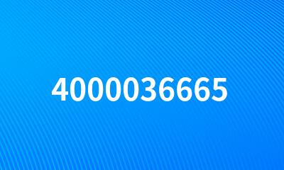 4000036665