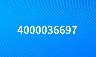 4000036697