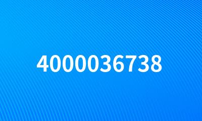 4000036738