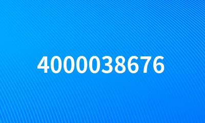 4000038676