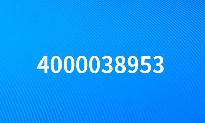 4000038953