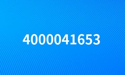 4000041653