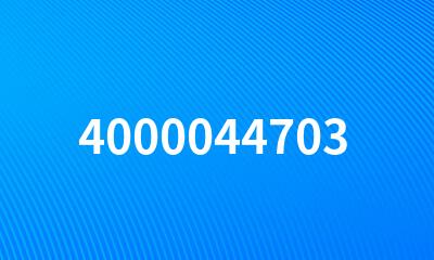 4000044703