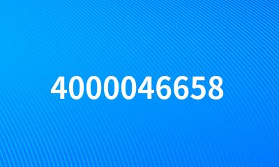 4000046658