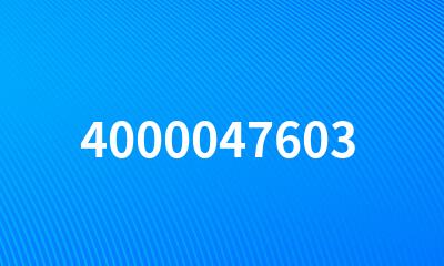 4000047603