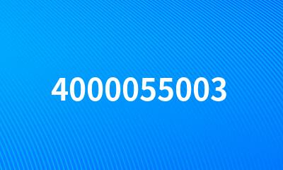 4000055003